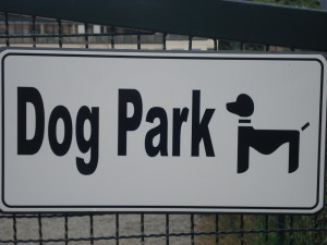 dog park